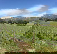 Authentic and Boutique Santa Barbara Wine Tour Experience - Accommodation Seattle