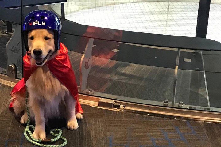 Sacramento Indoor Skydiving Experience With 2 Flights & Personalized Certificate - thumb 4