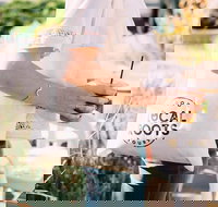 Midtown Sacramento Arts and Food Tour - Accommodation Seattle