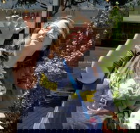 Sacramento City Scavenger Hunt Excursion by Operation City Quest - Accommodation Seattle