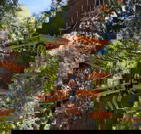 2-Hour Climbing and Ziplining in West Sacramento - Accommodation Seattle