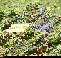 Food and Cocktail Tour of Old Town Temecula and Wine Country - Accommodation Seattle