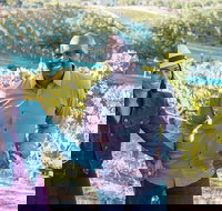 Private SUV Wine Tour of Temecula Valley - Accommodation Seattle