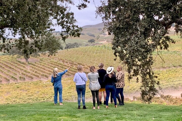 Small-Group Wine Tasting Tour Of Santa Barbara Wine Country - thumb 0
