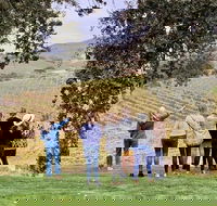 Small-Group Wine Tasting Tour of Santa Barbara Wine Country - Accommodation Seattle