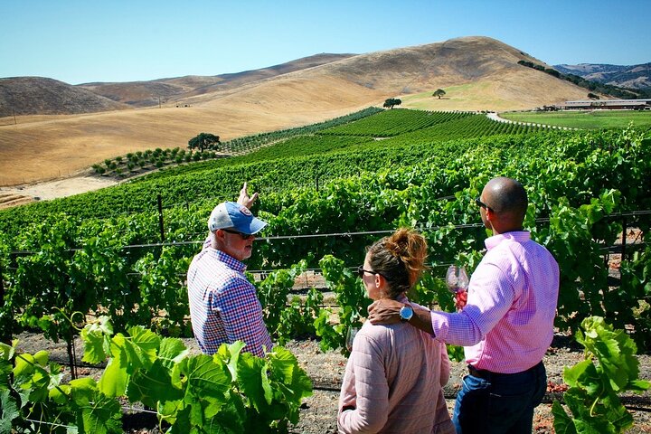 Small-Group Wine Tasting Tour Of Santa Barbara Wine Country - thumb 2