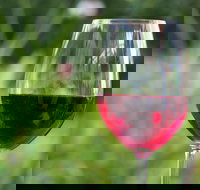 Amador County Wine Tasting Tours Chevrolet Suburban Private Tour - Accommodation Seattle