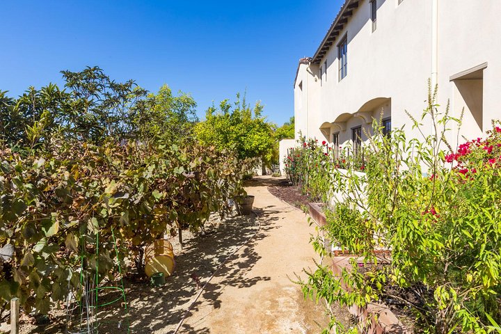 Private Cooking Demonstration Of Indian Fusion Cuisine In San Diego - thumb 1