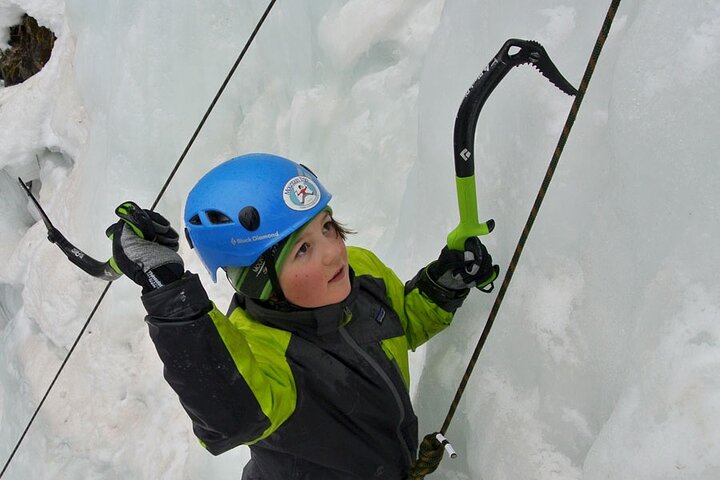 Book Viator Accommodation Vacations, Accommodation Seattle Accommodation Seattle