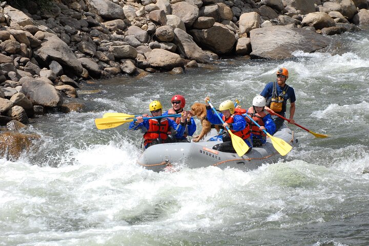 1-Day Arkansas River - Bighorn Sheep Canyon Trip - thumb 1