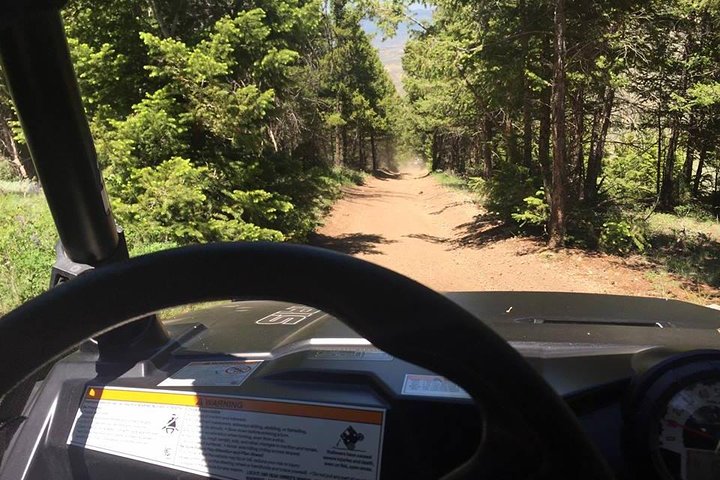 Offroad 4-Seat UTV Rental in Kremmling