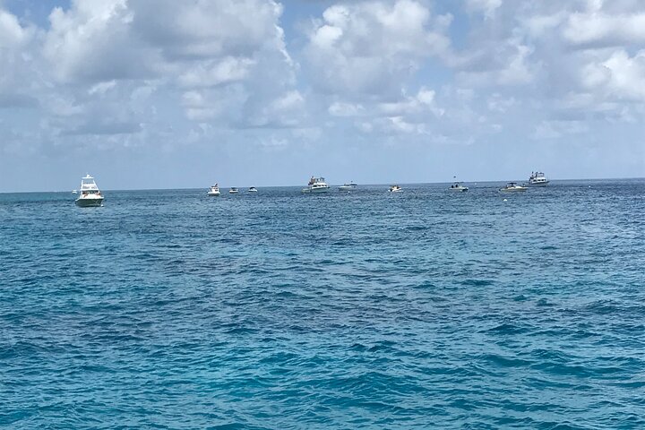 Key Largo Glass Bottom Boat Adventure - thumb 0