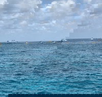 Key Largo Glass Bottom Boat Adventure - Accommodation Seattle