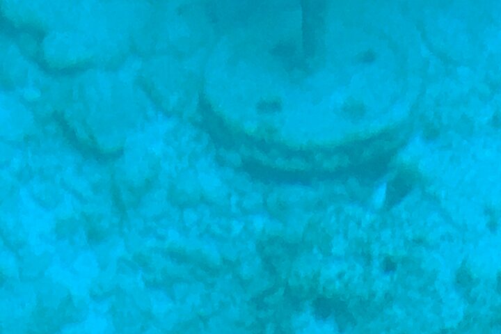 Key Largo Glass Bottom Boat Adventure - thumb 3