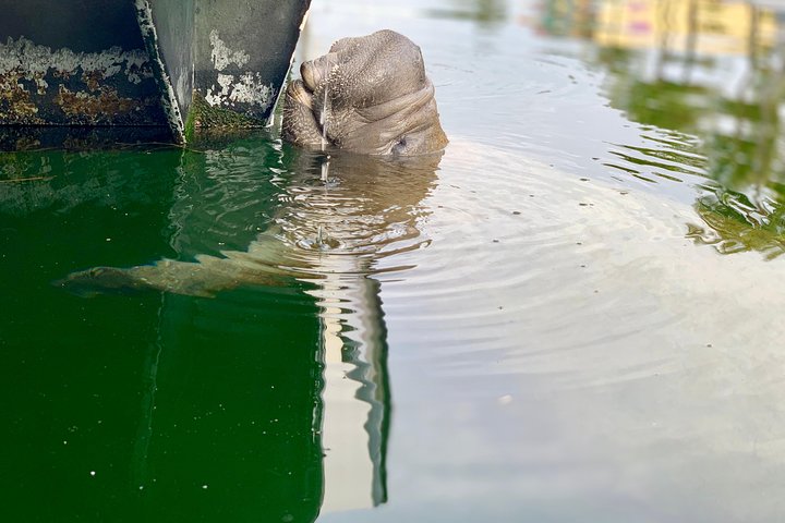 Florida Keys Eco Tour By Boat - thumb 1