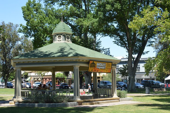 Paso Robles Scavenger Hunt Walking Tour And Game - thumb 2