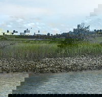 One Hour Dolphin/Eco/History/Sightseeing Boat Tour - Accommodation Seattle