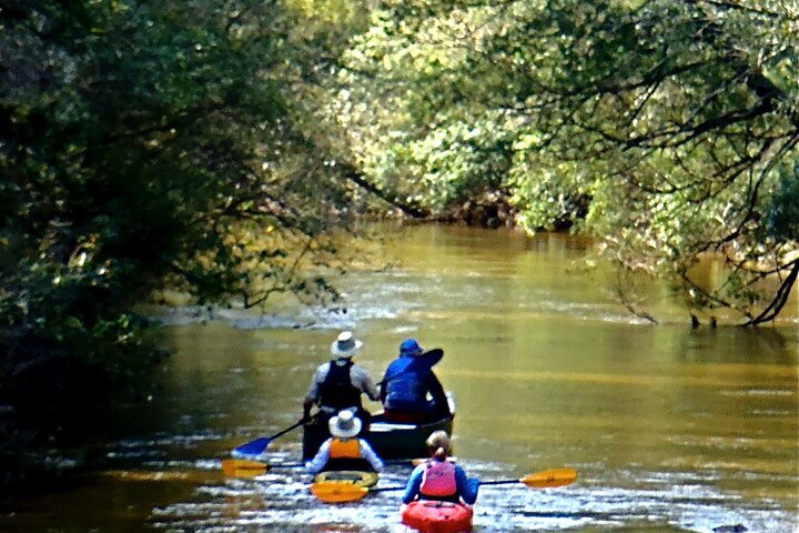 10 Mile Wekiva River Paddle From Wilson's Landing To Highbanks - thumb 1