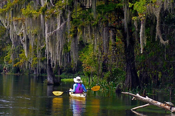 10 Mile Wekiva River Paddle From Wilson's Landing To Highbanks - thumb 2
