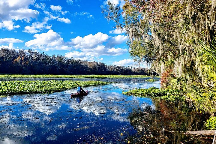 10 Mile Wekiva River Paddle From Wilson's Landing To Highbanks - thumb 4