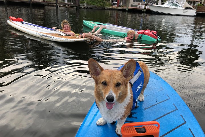 SUP PUP Kids Tour - thumb 0