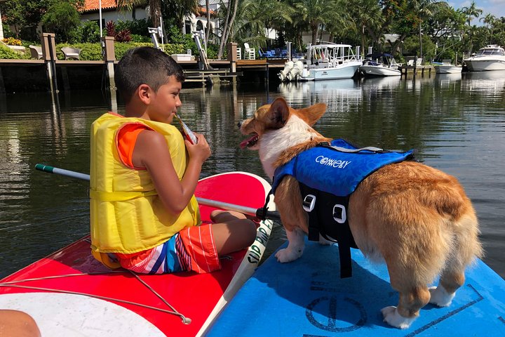 SUP PUP Kids Tour - thumb 1