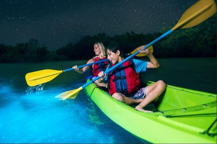Cocoa Beach Night Time Bioluminescence Kayak Tour - thumb 4