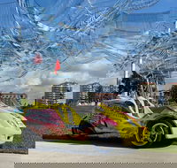 Scoot Coupe Rental in St. Petersburg - Accommodation Seattle