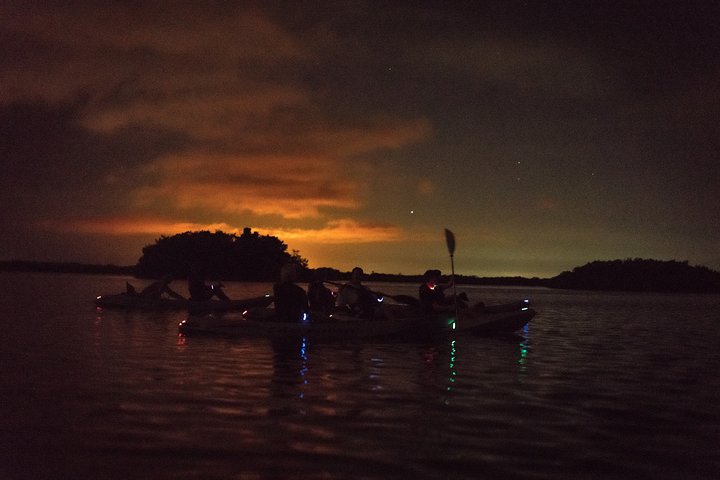 Bioluminescent Kayak Tour. Fin Expeditions Is Cocoa Beaches Top Rated Kayak Tour - thumb 5