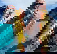 All Day Bass Fishing Trip near Boca Raton - Accommodation Seattle