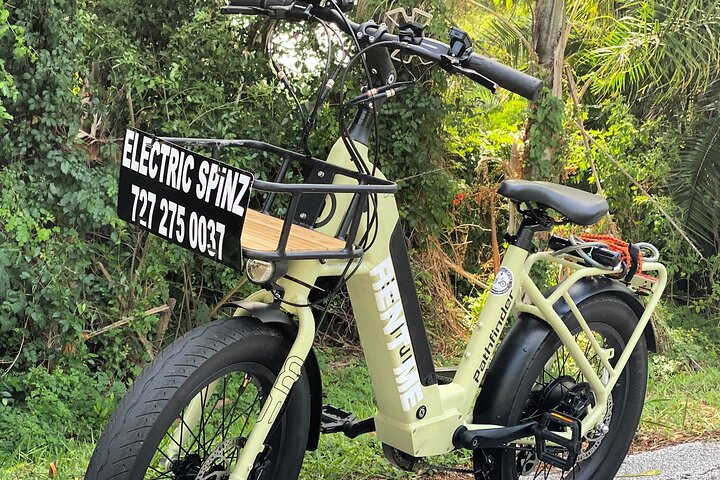 Full Day Electric Bike Rental In St. Petersburg Florida - thumb 0