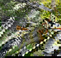 Full Day Electric Bike Rental in St. Petersburg Florida - Accommodation Seattle