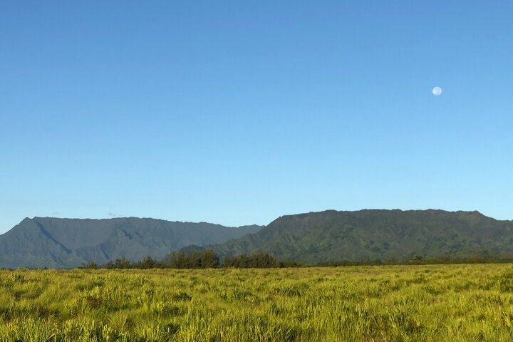 Kauai East Side And North Shore Private Guided Tour - thumb 1