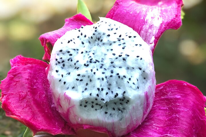 Kauai East Side And North Shore Private Guided Tour - thumb 2