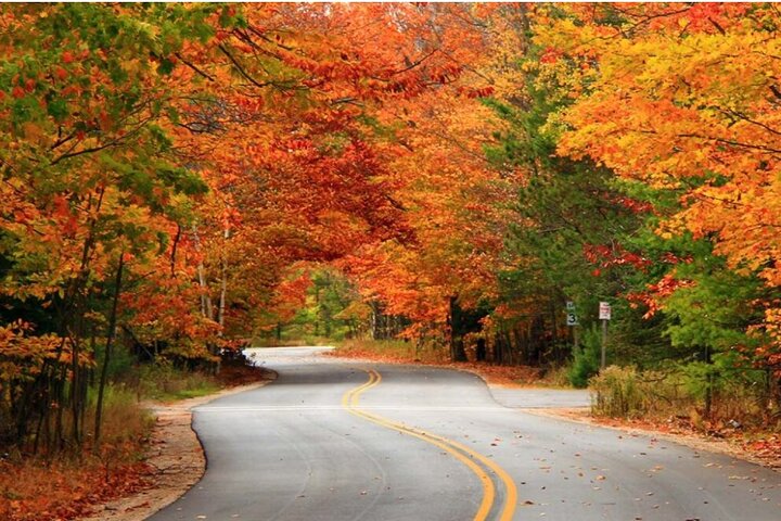 BEST Helen Town & Dahlonega Day Trip From Atlanta - thumb 0