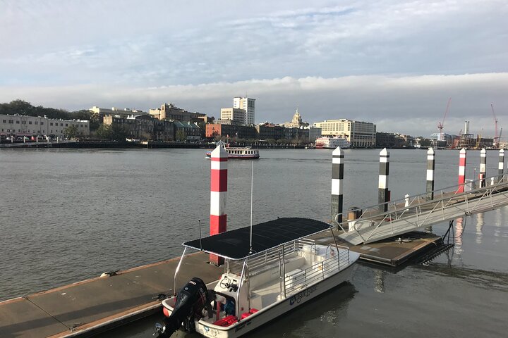 Savannah Georgia Port Tour - thumb 0