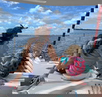 Ocean Catamaran Sailing Adventure In Port Canaveral and Cocoa Beach - Accommodation Seattle