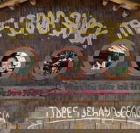 Savannah Tybee Island Dolphin Cruise Tour with Stop at Tybee Island Lighthouse - Accommodation Seattle