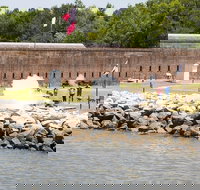 Narrated Harbor Luncheon Riverboat Cruise - Accommodation Seattle