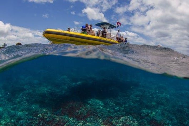 Waianae Coast Snorkel Cruise With Dolphin And Seasonal Whale Watching From Oahu - thumb 0