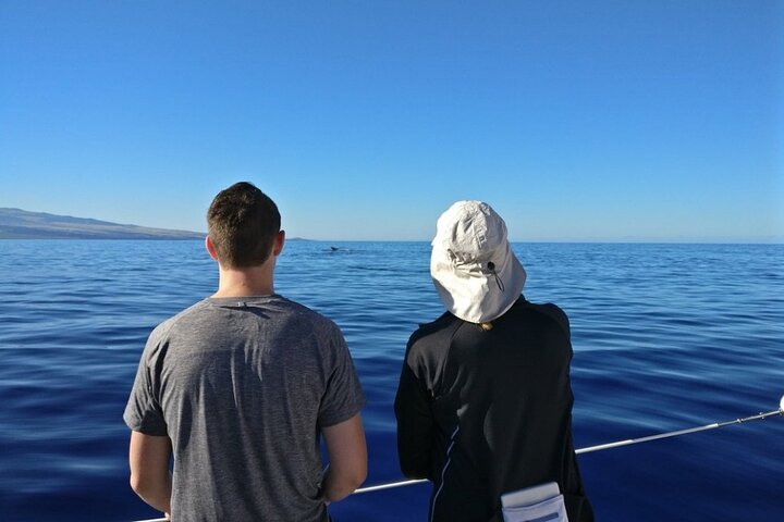 Wake Up With The Whales Cruise - thumb 5