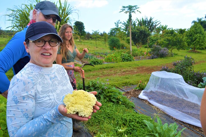 Farm To Table Cooking Class At Kulaniapia Falls - thumb 1