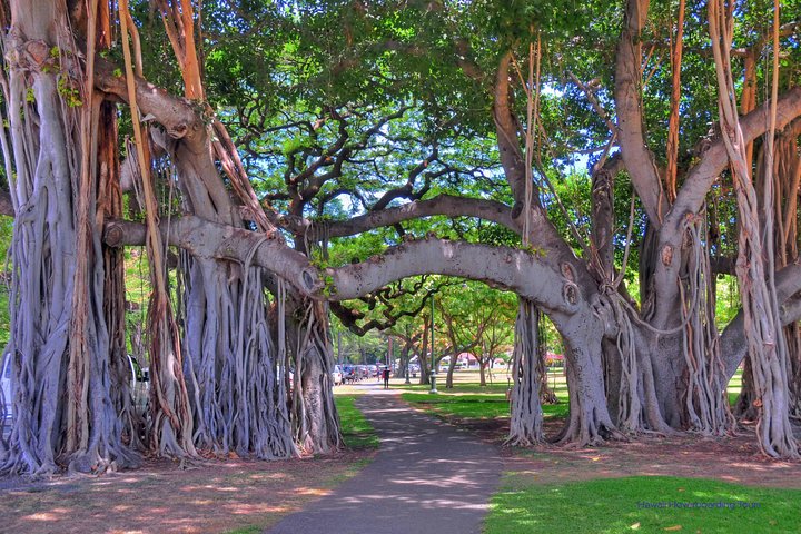 Waikiki Hoverboarding: 1 Hour Intro Tour - thumb 1