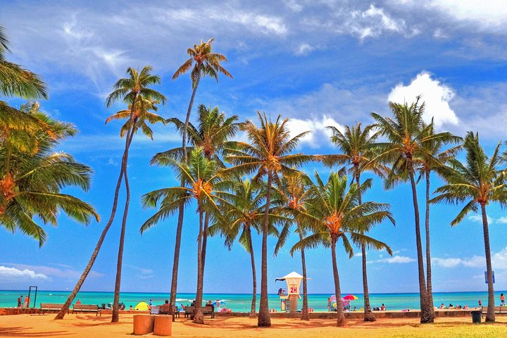 Waikiki Hoverboarding: 1 Hour Intro Tour - thumb 5
