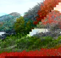 Narrated Bus Tour of Bar Harbor and Acadia National Park Classic - 2.5 Hours - Accommodation Seattle