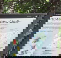 Premium Narrated Bus Tour of Bar Harbor and Acadia National Park 3.5 Hours - Accommodation Seattle