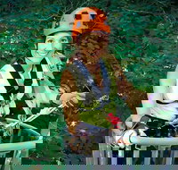 Fully Guided Zipline Canopy Tour through Kentucky River Palisades - Accommodation Seattle