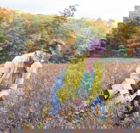 Guided Foraging - Mushroom Hunting Experiences - Accommodation Seattle