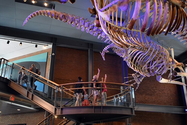 1:00 Pm Timed-Entry Visit To New Bedford Whaling Museum - thumb 4