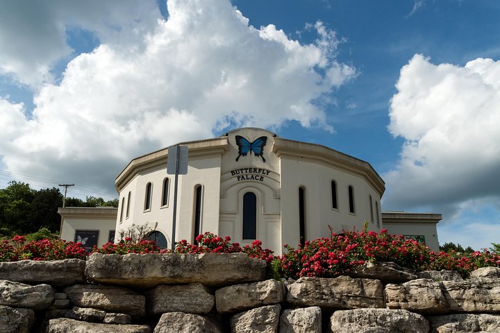 Branson Butterfly Palace Admission Ticket - thumb 0